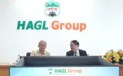 HAGL Ghi Dấu Ấn Lợi Nhuận Kỷ Lục, Hướng Tới Vị Thế Số Một Ngành Nông Nghiệp