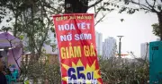 Thị trường hoa Tết Hà Nội: Đào nở sớm, tiểu thương xả hàng gỡ vốn