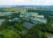 TPHCM chấp thuận đầu tư dự án Khu đô thị mới Bình Quới - Thanh Đa với vốn gần 100.000 tỷ đồng