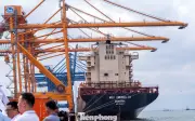 Hải Phòng: Cảng biển sôi động, ngân sách tăng mạnh trong dịp Tết Nguyên đán