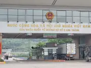 Hải Quan Làm Việc Xuyên Tết, Thông Quan Nông Sản Xuất Khẩu Ngay Mùng 1