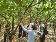 Hành trình 10 năm kiên định 'Sạch từ nông trại' của doanh nhân trẻ Lê Văn Hoàng