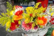 Hoa Đồng Tiền 'Cháy Hàng' Tại Chợ Đống Đa Đà Nẵng Trong Ngày Vía Thần Tài