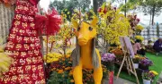 Linh vật ngựa 'mi cong, tóc dài' ở Đồng Tháp gây sốt mạng xã hội dịp Tết Bính Ngọ 2026