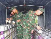 Huế chuẩn bị 3.000 quả pháo hoa đón giao thừa Xuân Bính Ngọ 2026