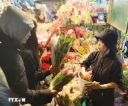 Đi chợ hoa đêm trước Giao thừa để được chạm Tết, đón Xuân sớm