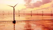 Điện gió ngoài khơi: Bài học từ FIT và đòi hỏi 'luật chơi dài hạn' từ các tập đoàn lớn