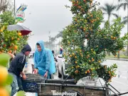 Lao động tự do Hà Tĩnh miệt mài 'chạy Tết', tăng thu nhập dịp cuối năm