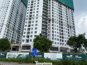 Làn Sóng Doanh Nghiệp Đa Ngành Đổ Bộ Vào Bất Động Sản Công Nghiệp