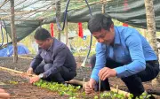 Lãnh đạo xã Tu Mơ Rông trực tiếp đóng bầu cà phê giống cấp miễn phí cho dân