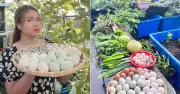 Mẹ Đồng Nai nuôi gà chim cút trên sân thượng, vườn rau xanh mướt