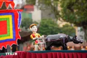 Mưa rơi cản trở tiêu thụ, hút đông đảo người dân thủ đô và du khách