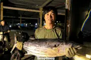 Ngư dân Đà Nẵng phấn khởi với giá hải sản tăng cao dịp cận Tết