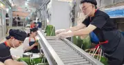 Ông Phạm Khắc Tưởng Cơ Giới Hóa Sản Xuất Bánh Chưng Truyền Thống Tại TP.HCM