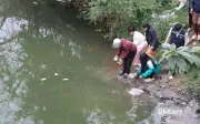 Nghệ An: Thả cá chép ông Công ông Táo gặp khó vì ô nhiễm tro, rác trên sông