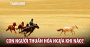 Nghiên cứu di truyền hé lộ bí ẩn hai lần thuần hóa ngựa trong lịch sử nhân loại
