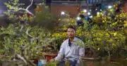 Người bán mai Tết ở Sài Gòn: 110 gốc mai còn trơ trọi, lo lắng không về kịp ăn Tết