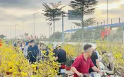 Người dân tất bật mua sắm hàng hóa, cây hoa cảnh trong ngày 29 Tết