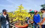 Người lao động An Giang kiếm tiền Tết từ dịch vụ chở hoa xuân thuê