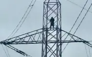 Người đàn ông leo cột điện cao thế ở Anh gây mất điện, bị bắt giữ