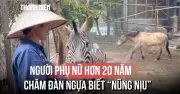 Người phụ nữ hơn 20 năm chăm đàn ngựa, biết nâng niu từng con