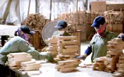 Ngành gỗ Việt Nam được hoãn thuế, đối mặt thách thức từ chính sách mới của Mỹ