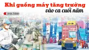 Nhịp Sản Xuất Cuối Năm: Từ Xưởng Máy Đến Phòng Lab, Áp Lực Và Cơ Hội Song Hành