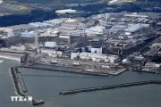 Nhật Bản TEPCO Nối Lại Cung Cấp Điện Hạt Nhân Lần Đầu Sau 14 Năm