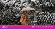 Nhật Bản, Hàn Quốc hứng chịu mưa tuyết kỷ lục 40 năm, ảnh hưởng bầu cử giữa mùa đông