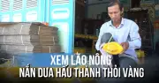 Nạn dưa hấu thành 'thời vàng', cách lão nông nâng tầm trái dưa ngày Tết