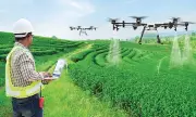 Nông nghiệp dẫn đầu mức lương trần CEO, thu nhập lên đến hơn nửa tỷ đồng mỗi tháng