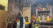 Đào Huyền: Vẻ Đẹp Nghiêng Ngả Gây Khó Dở Cho Gia Chủ Dịp Tết