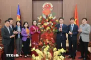 Phó Chủ tịch Quốc hội Nguyễn Thị Thanh chúc mừng Ngày Thầy thuốc Việt Nam