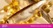 Phân Biệt Dầu Cá Và Omega-3: Hiểu Đúng Để Bổ Sung Hiệu Quả Cho Sức Khỏe
