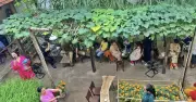 Quán Cà Phê Ní Chính Thức Đóng Cửa, Thực Khách Tiếc Nuối Trước Thông Báo Ngưng Hoạt Động