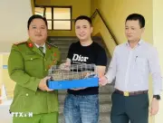 Quảng Trị tiếp nhận cá thể tê tê quý hiếm từ người dân để bảo tồn