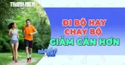 Chạy bộ hay đi bộ: Phương pháp nào giảm mỡ bụng hiệu quả hơn?