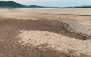 Sông Mekong khô cạn kỷ lục, người dân Thái Lan đi bộ sang đảo Lào