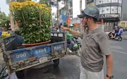 Sát Tết, chợ hoa Gia Định tấp nập nhưng nhiều chủ buộc xả lỗ, đổ bỏ hàng
