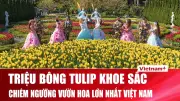 Sun World Bà Nà Hills lập kỷ lục với 1,5 triệu bông tulip trong lễ hội mùa xuân 2026