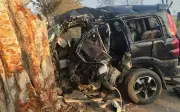 Tai nạn thảm khốc ở Ấn Độ: 4 người tử vong, 3 người bị thương nặng sau khi SUV Scorpio đâm vào cây