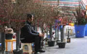 Chợ hoa Tết 2026 ế ẩm, tiểu thương lo lắng mất mùa bán hàng
