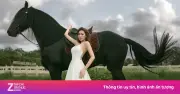 Cơn Sốt Chụp Ảnh Tết Với Ngựa: Chi 2 Triệu Đồng Cho 30 Phút Cùng Ngựa Ô 'Hot'