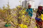 Thị trường hoa Tết Hà Tĩnh sôi động giờ chót, tiểu thương xả hàng giảm giá sâu