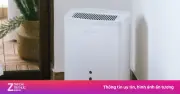 Thị Trường Máy Hút ẩm Miền Bắc 'Cháy Hàng' Sau Tết, Nhu Cầu Tăng Gần 30 Lần
