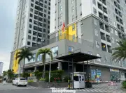 Thị trường nhà ở vệ tinh TP.HCM phân hóa rõ nét: Bình Dương dẫn đầu, BR-VT phục hồi