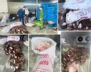 Thanh Hóa phát hiện gần 6 tấn thực phẩm bán không rõ nguồn gốc