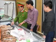 Thanh Hóa triệt phá đường dây mua bán, tàng trữ trái phép chất ma túy
