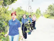 Thanh Niên Cần Thơ Hưởng Ứng Tết Trồng Cây Và Thăm Đồng Đầu Năm