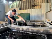 Thanh niên Hà Tĩnh thành công với mô hình nuôi lươn không bùn, doanh thu hơn 6,6 tỷ đồng/năm